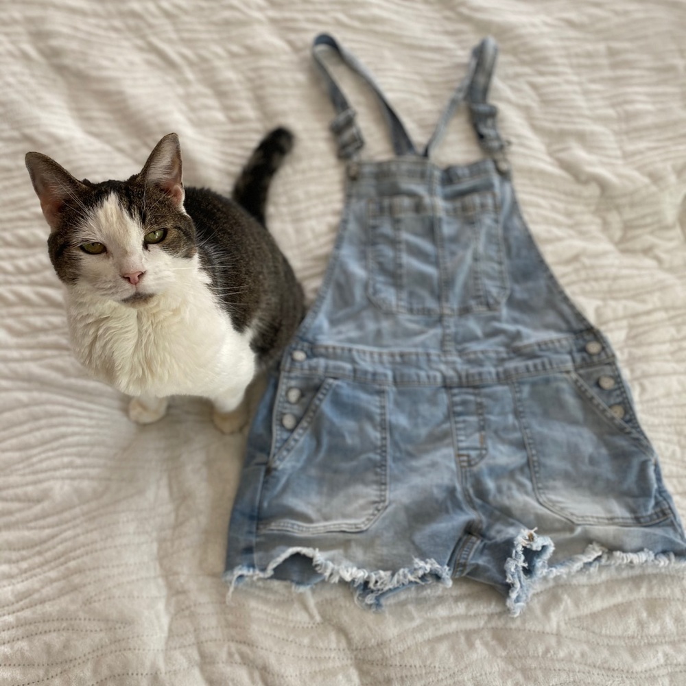Jean overall shorts